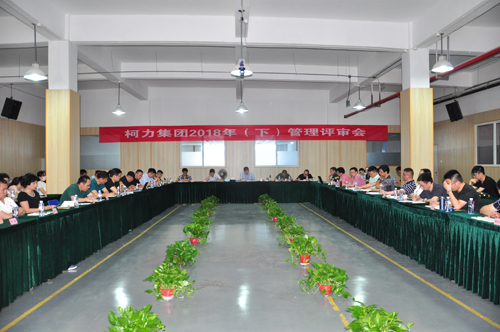 hth官网入口集团召开2018年管理评审大会